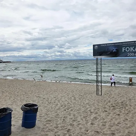 Gruba Foka