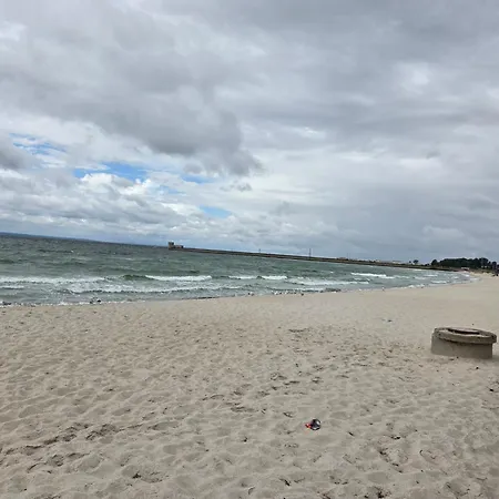 Gruba Foka Apartament Hel